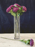 Crisantemo purpura - comprar online