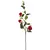 Vara Camellia roja