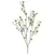 Flor de ciruelo blanco