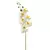 Vara de Orquidea blanca