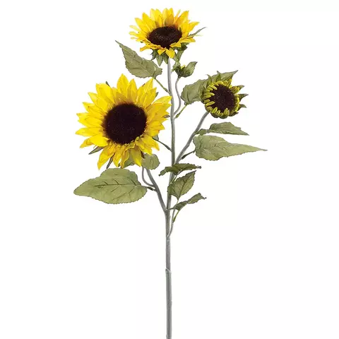 Girasol Amarillo