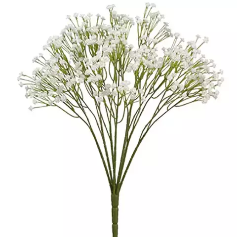 Ramo de Gypsophila