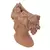 Imagen de Plantero Terracota
