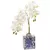 Orquidea en Potiche Chico Azul y Blanco