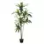 Planta dracena en maceta - (178cm)