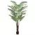 Palmera Areca - (213cm)