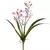 Vara Orquidea cataleya rosa