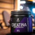 Imagem do CREATINA MONOHYDRATE 100% PURA 300G - LAUDO 2025
