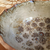 Bowl - Médio - Pote de Flores - loja online