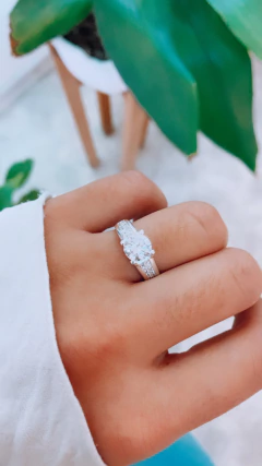 anillo grifa circular