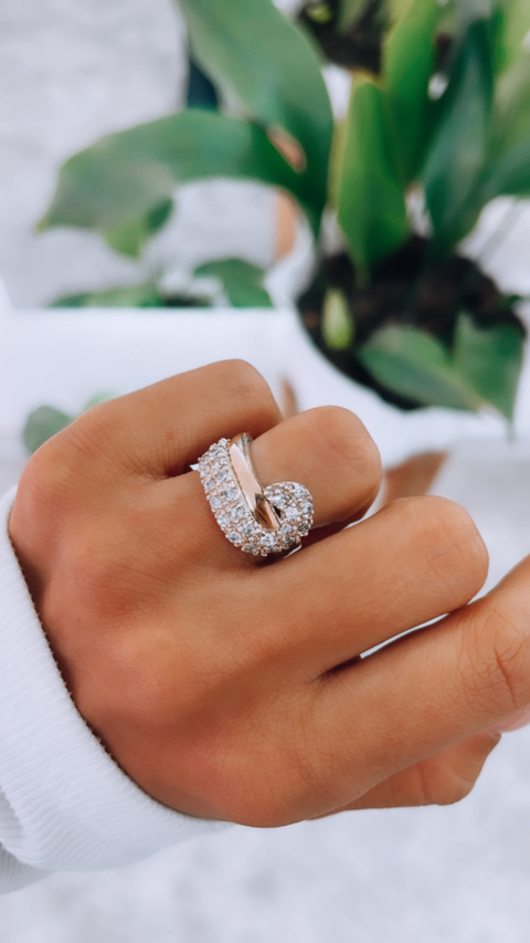 ANILLO TAM