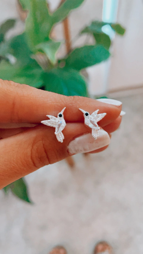 Aros COLIBRI PASANTES