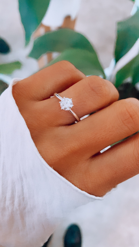 anillo 6 grifas