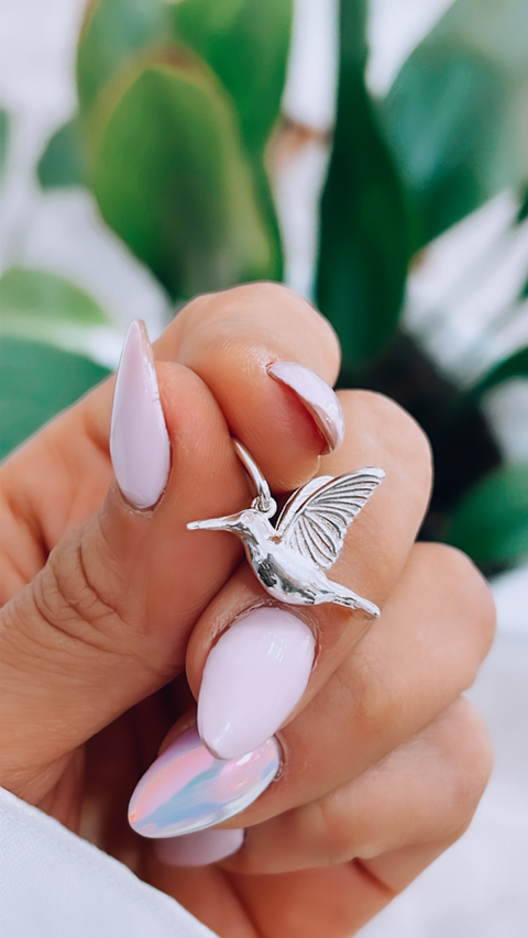 COLIBRI MACIZO