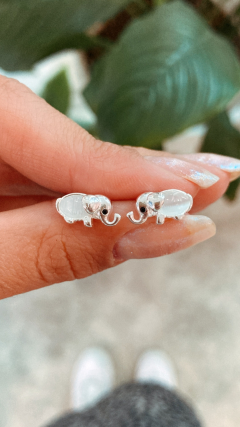 AROS PASANTES ELEFANTE CON NACAR