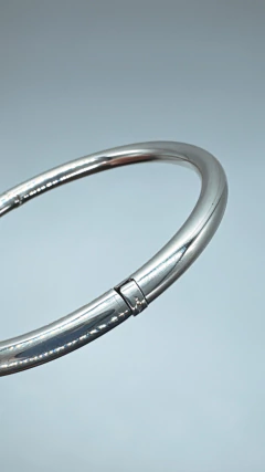 ESCLAVA REDONDA CON BISAGRA en internet