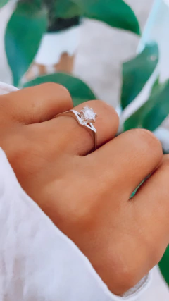 CINTILLO REINA - comprar online