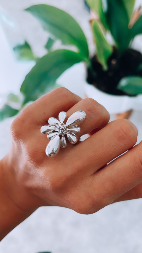 ANILLO ABUNDANCIA
