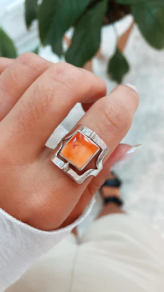 ANILLO INVERTER en internet