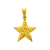 Pingente Estrela Trabalhada