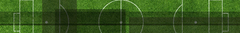 Banner de la categoría LOTE ANTERIOR