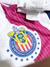 Jersey Chivas Guadalajara 2016 Project Pink Pineda utilería firmada