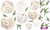 Flores Peonias - comprar online