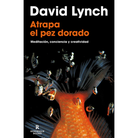 ATRAPA EL PEZ DORADO - DAVID LYNCH
