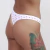 PACK DE COLALESS X4 (76312) - Victoria Lingerie