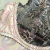 Conjunto Bulgaro (5227) - comprar online