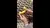 Imagem do Suc Yellow (0101)