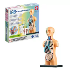 ESTRELA - LAB CORPO HUMANO BRINQUEDO DIDÁTICO