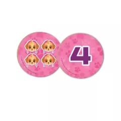 NIG - KIT DE ATIVIDADES DIDÁTICO PATRULHA CANINA 36 PEÇAS - Mamu Kids Store