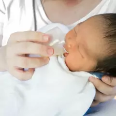 BUBA - COPO ALIMENTADOR GRADUADO (3 UN) - loja online