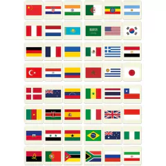 TOYSTER - JOGO EDUCATIVO - PAÍSES E SUAS BANDEIRAS