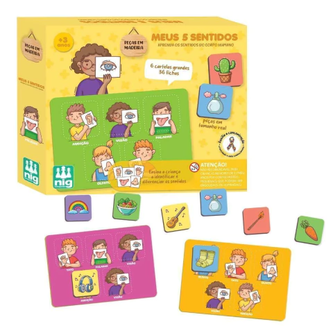 NIG - BRINQUEDO DE MADEIRA - MEUS 5 SENTIDOS