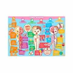 TOYSTER - QUEBRA-CABEÇA EDUCATIVO EXPLORANDO O CORPO HUMANO na internet