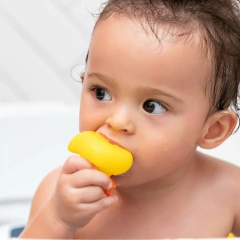 CLINGO - BRINQUEDO DE BANHO PATINHO DE BORRACHA 6 UNIDADES - Mamu Kids Store