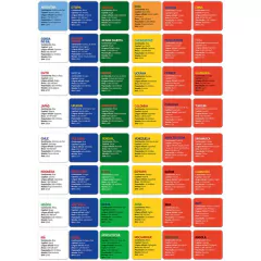 Imagem do TOYSTER - JOGO EDUCATIVO - PAÍSES E SUAS BANDEIRAS