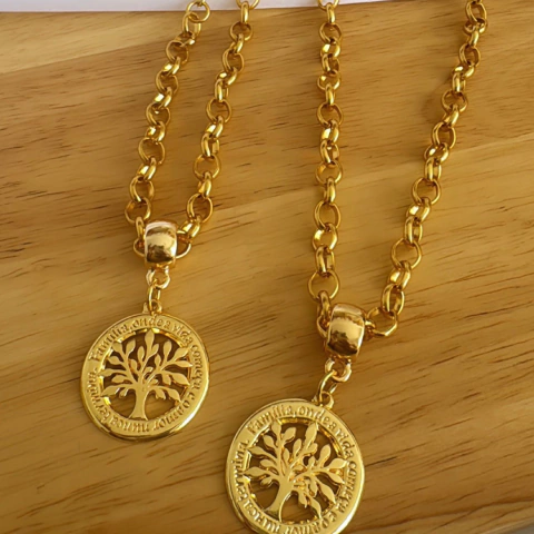 Conjunto árvore da vida