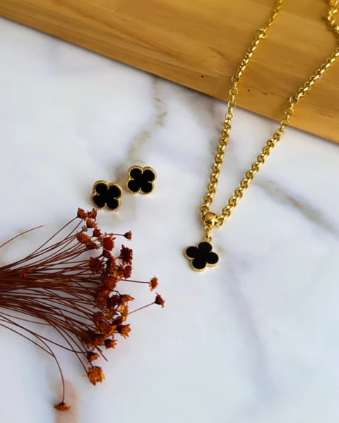 Conjunto inspiração virginia