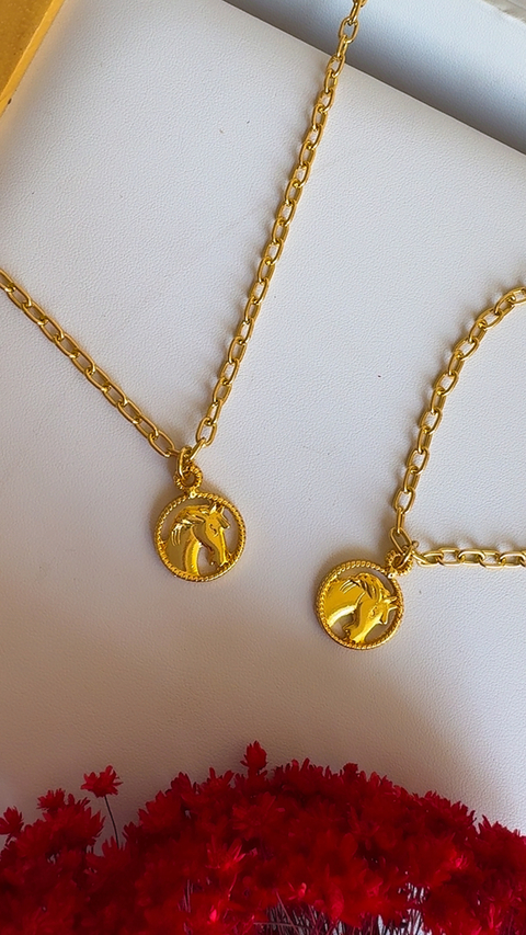 Conjunto cavalo
