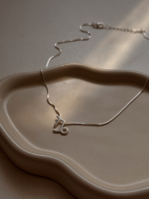 COLAR SIGNO CAPRICÓRNIO PRATA - comprar online