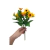 Buque de Girassol Misto - comprar online
