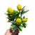 Galho com Frutas - comprar online