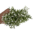 Pick Gypsophila - comprar online