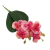 Imagem do Mini Orquídea com folhas