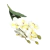 Mini Orquídea com folhas - Laço Flor