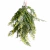 Folhagem Capim Cenoura - comprar online