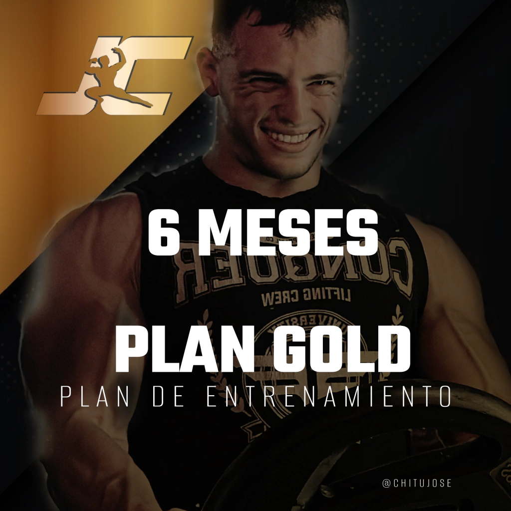 GOLD - 6 MESES